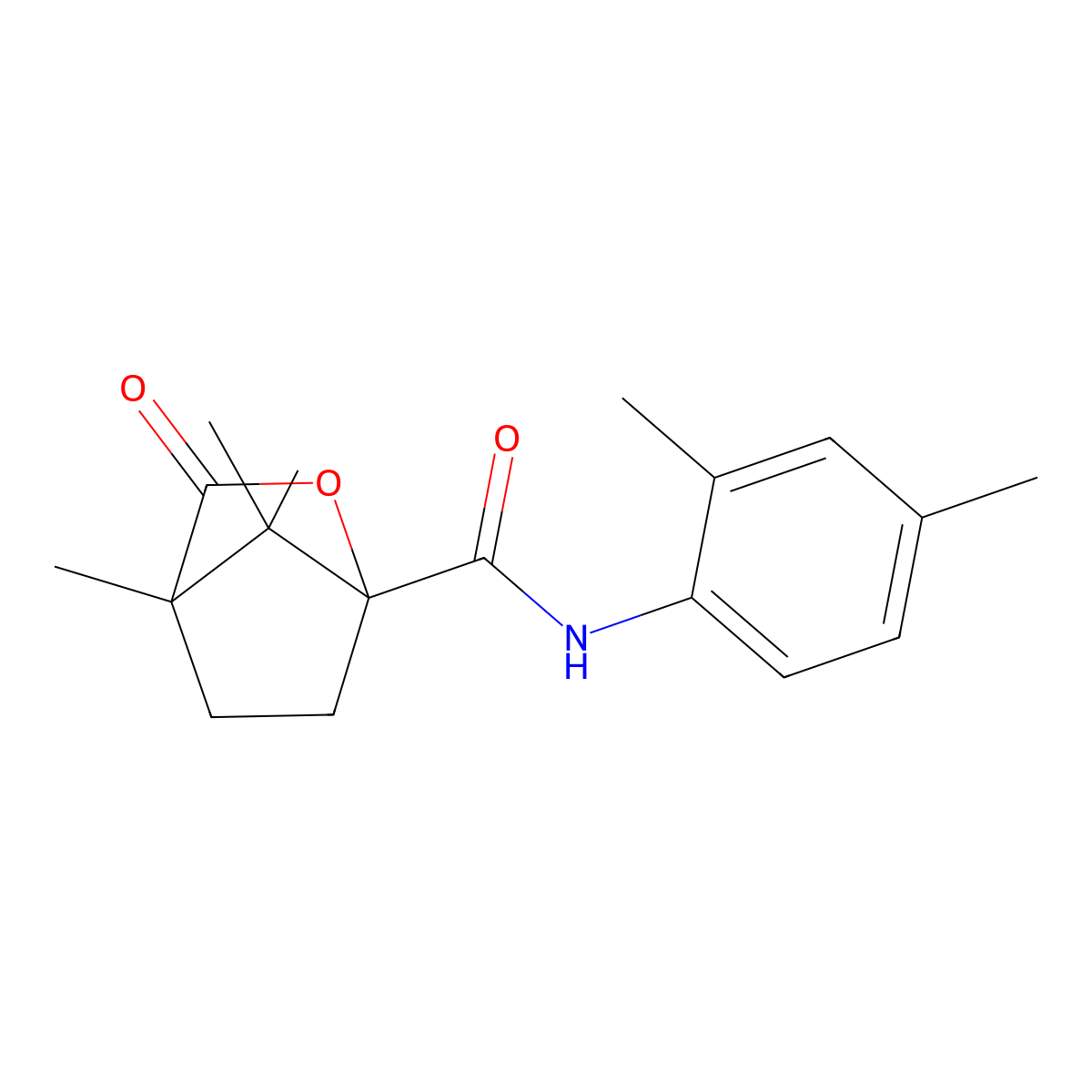 N-(2,4-dimethylphenyl)-4,7,7-trimethyl-3-oxo-2-oxabicyclo[2.2.1]heptane-1-carboxamide molecular structure, CAS 613658-71-2