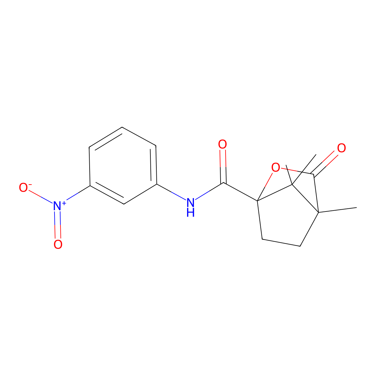 1,7,7-trimethyl-N-(3-nitrophenyl)-2-oxo-3-oxabicyclo[2.2.1]heptane-4-carboxamide molecular structure, CAS 613658-93-8