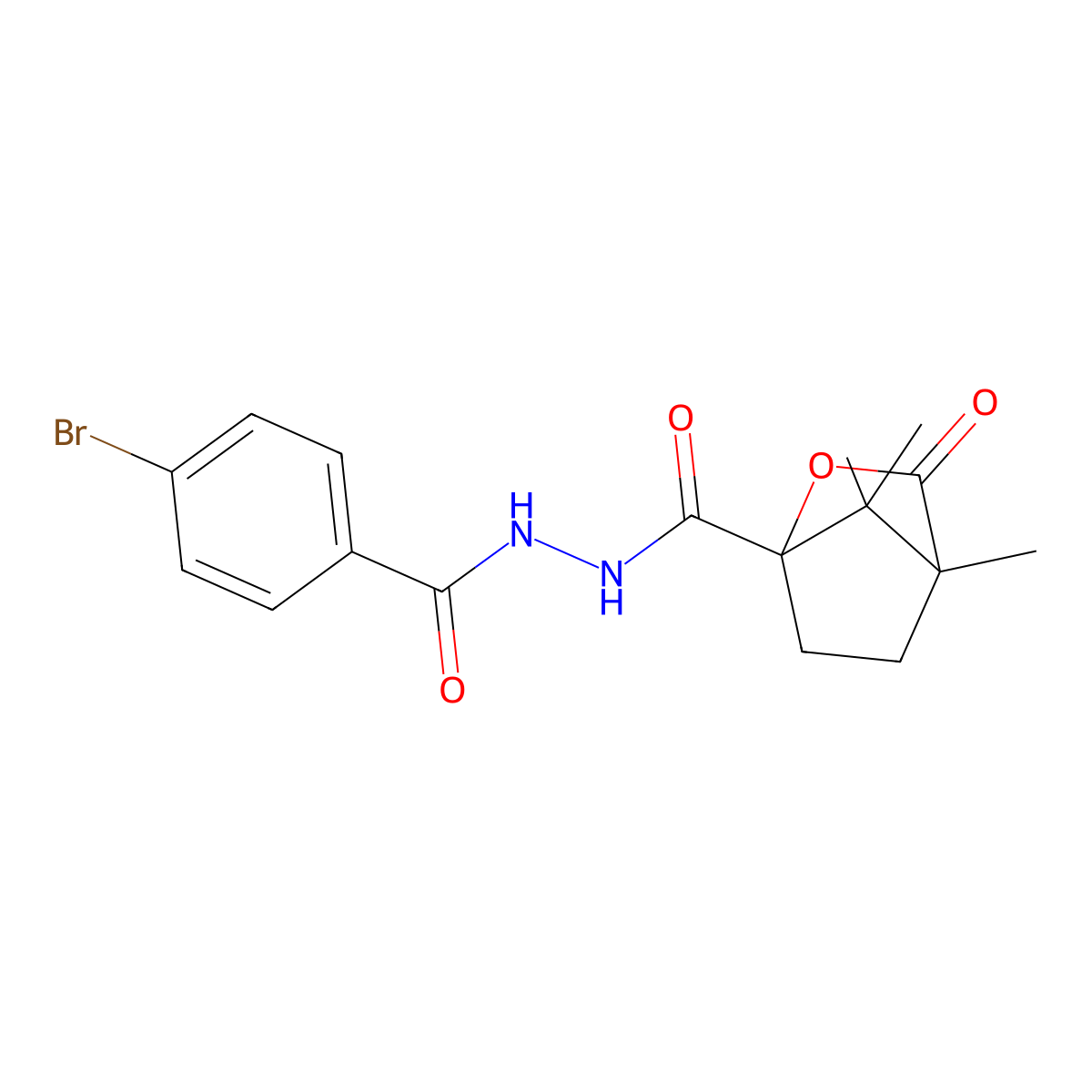 N'-[(4-bromophenyl)carbonyl]-4,7,7-trimethyl-3-oxo-2-oxabicyclo[2.2.1]heptane-1-carbohydrazide molecular structure, CAS 613659-08-8