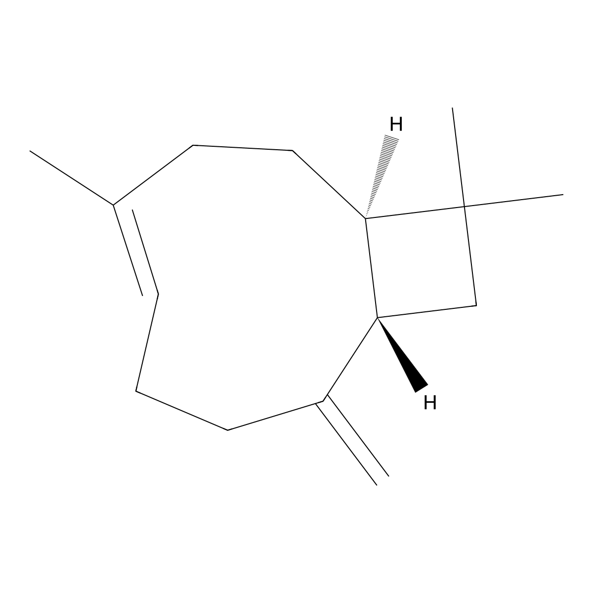 (-)-Caryophyllene molecular structure, CAS 61789-48-8