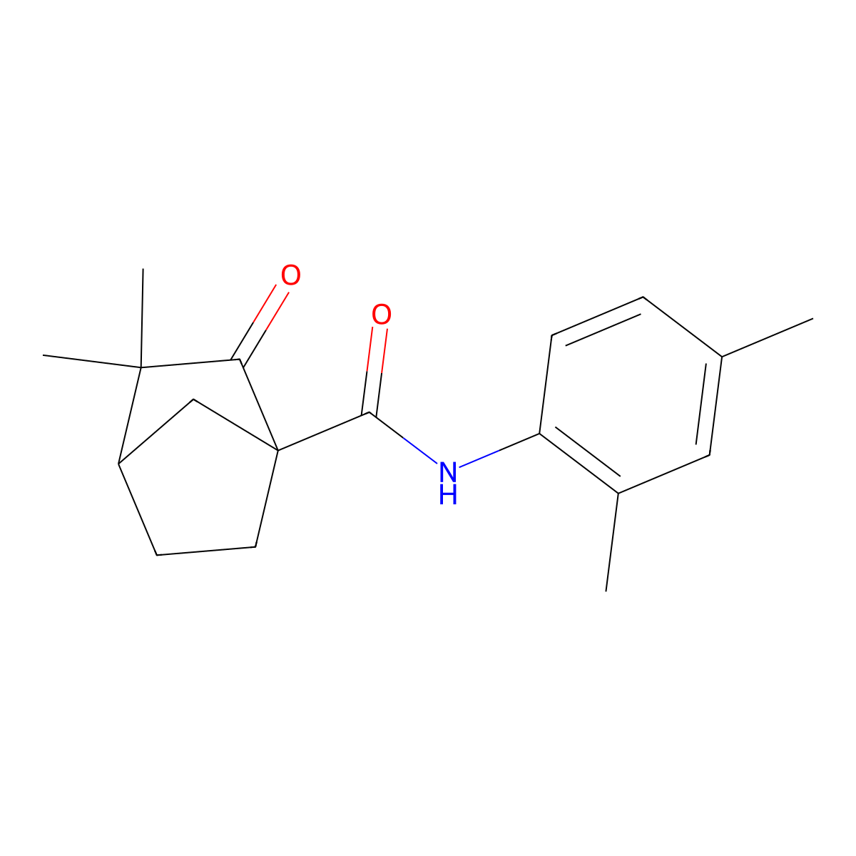 N-(2,4-dimethylphenyl)-3,3-dimethyl-2-oxobicyclo[2.2.1]heptane-1-carboxamide molecular structure, CAS 622360-68-3