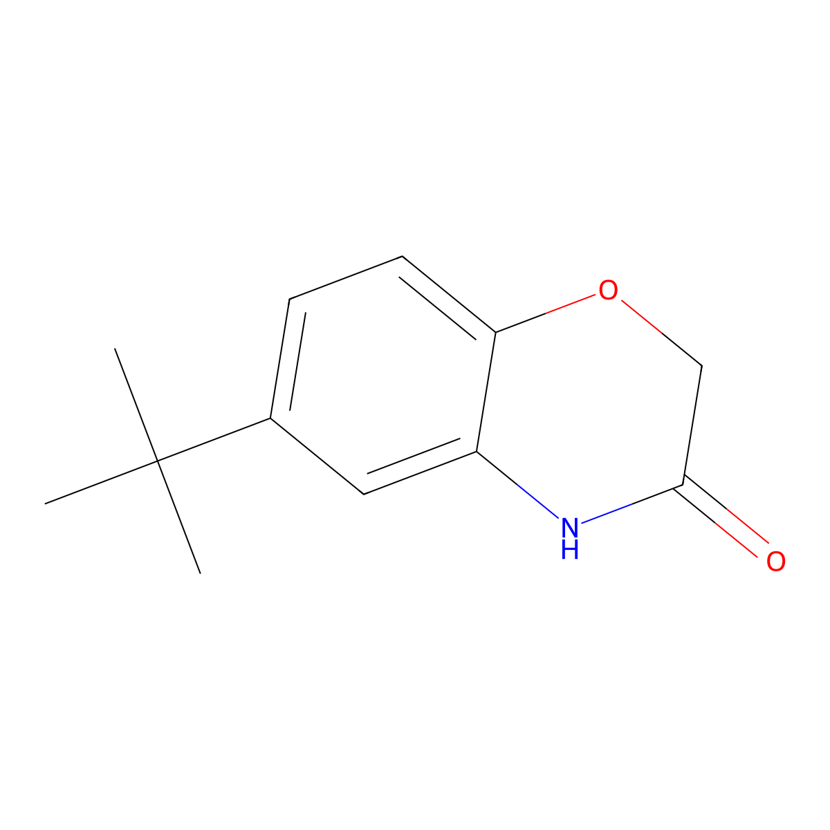 6-tert-Butyl-2H-1,4-benzoxazin-3(4H)-one molecular structure, CAS 6238-96-6