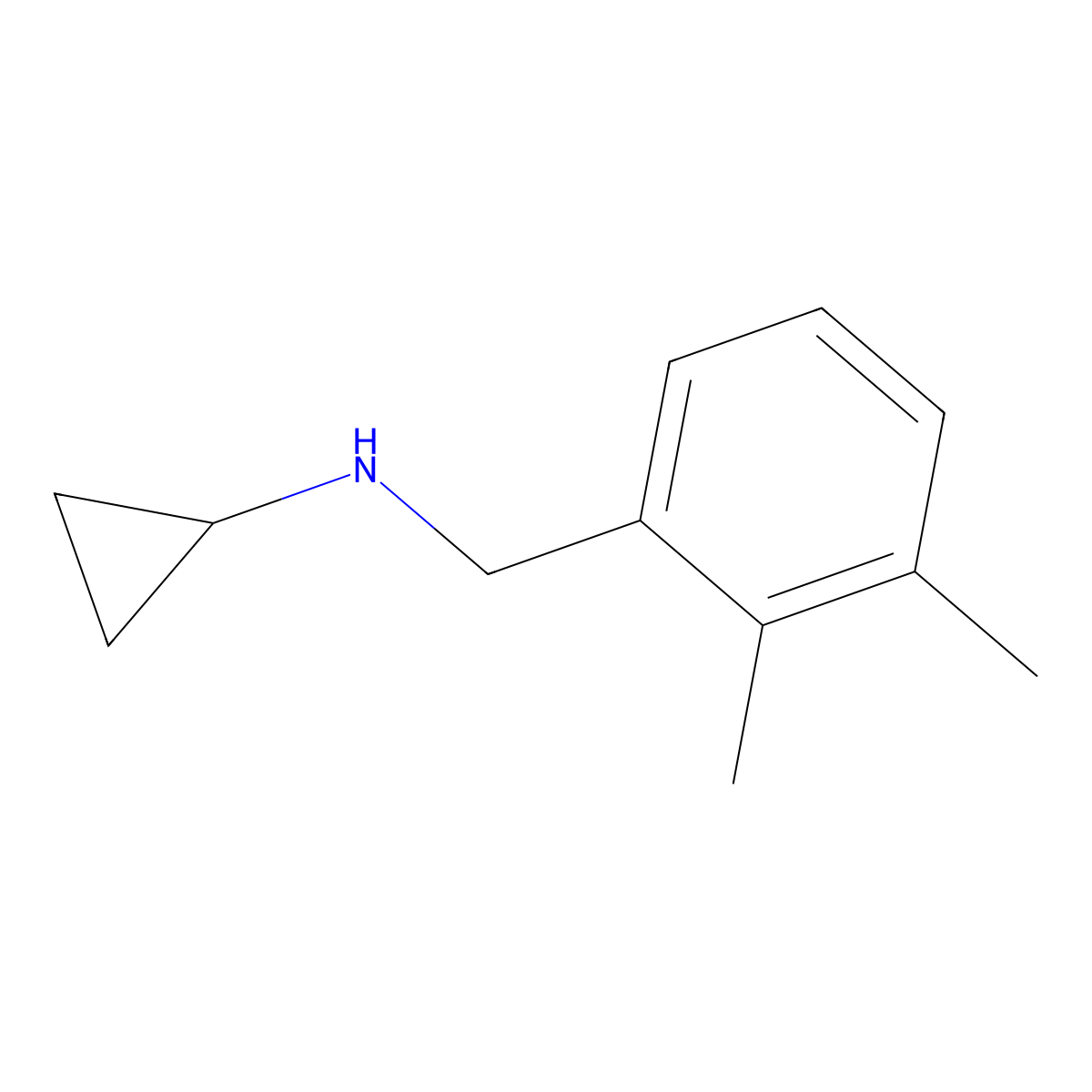 N-(2,3-Dimethylbenzyl)cyclopropanamine molecular structure, CAS 625437-38-9