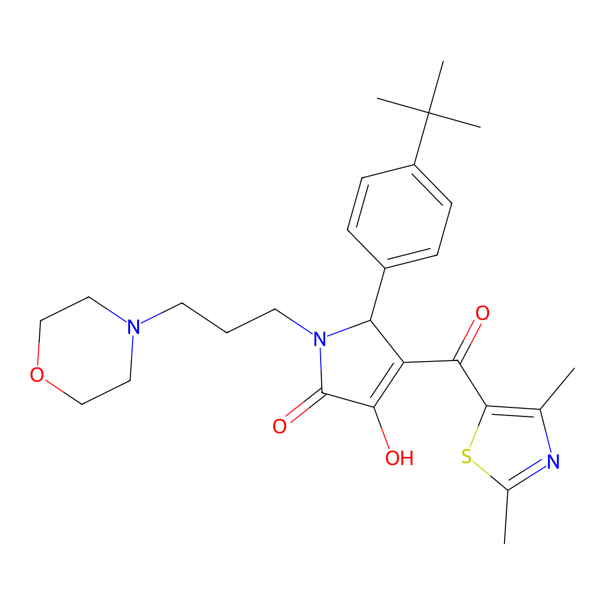 4-[(2,4-Dimethyl(1,3-thiazol-5-yl))carbonyl]-5-[4-(tert-butyl)phenyl]-3-hydrox y-1-(3-morpholin-4-ylpropyl)-3-pyrrolin-2-one molecular structure, CAS 627818-12-6