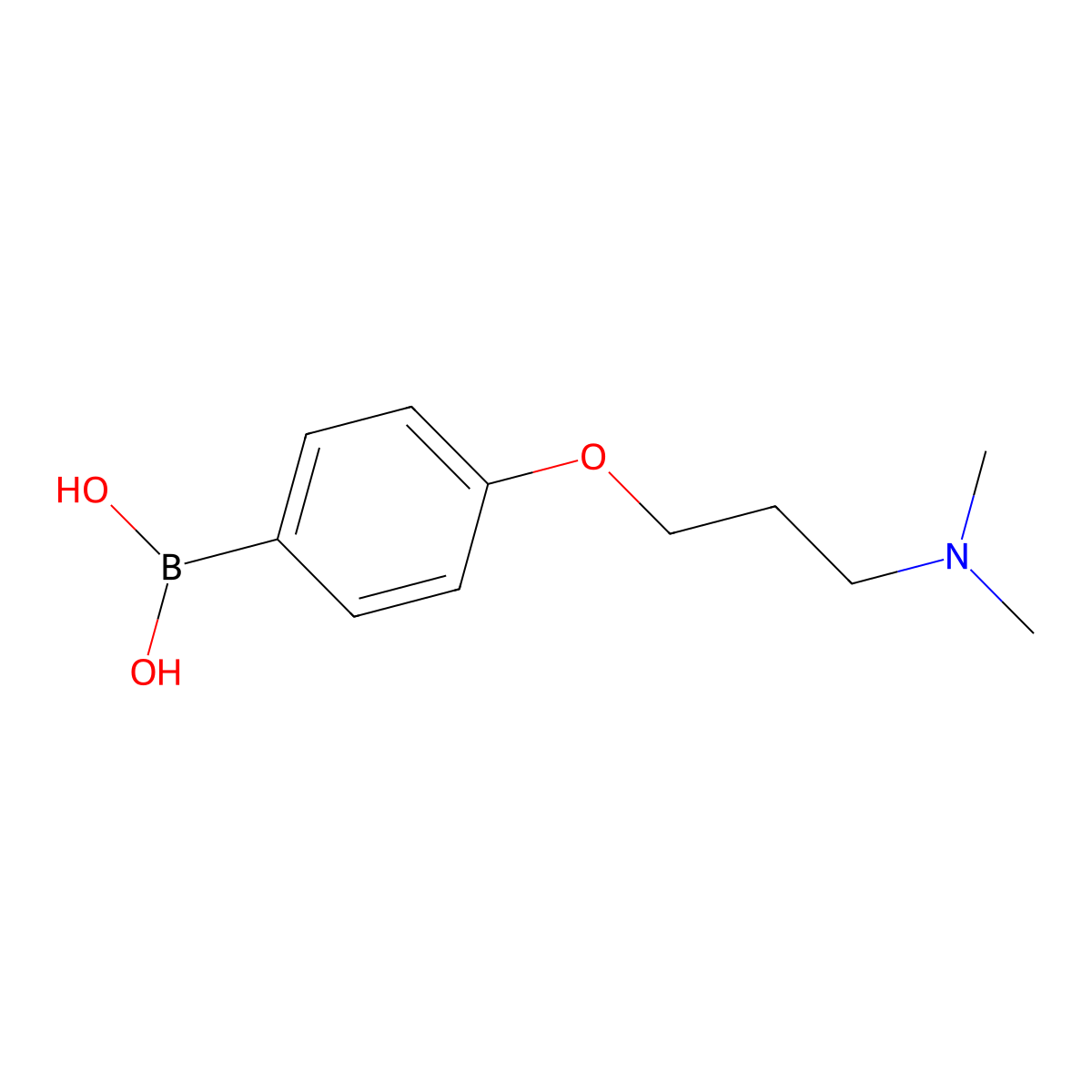 4-(3-(Dimethylamino)propoxy)phenylboronic acid molecular structure, CAS 627899-88-1