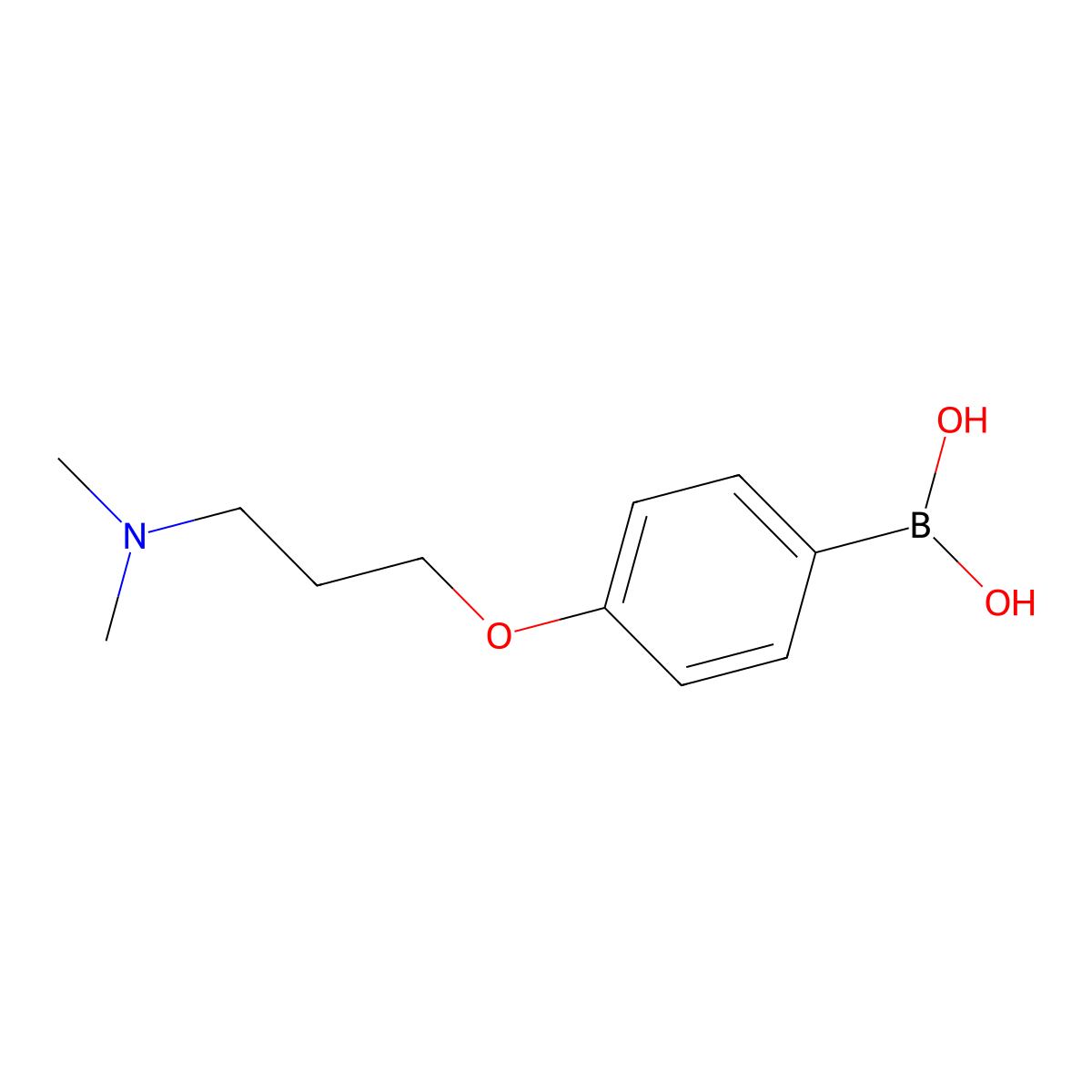 4-(3-(Dimethylamino)propoxy)phenylboronic acid molecular structure, CAS 627899-88-1