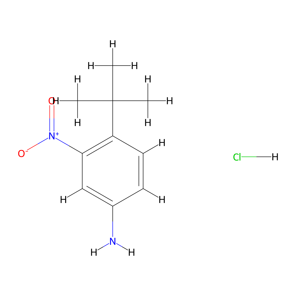 4-(tert-Butyl)-3-nitroaniline hydrochloride molecular structure, CAS 6310-20-9