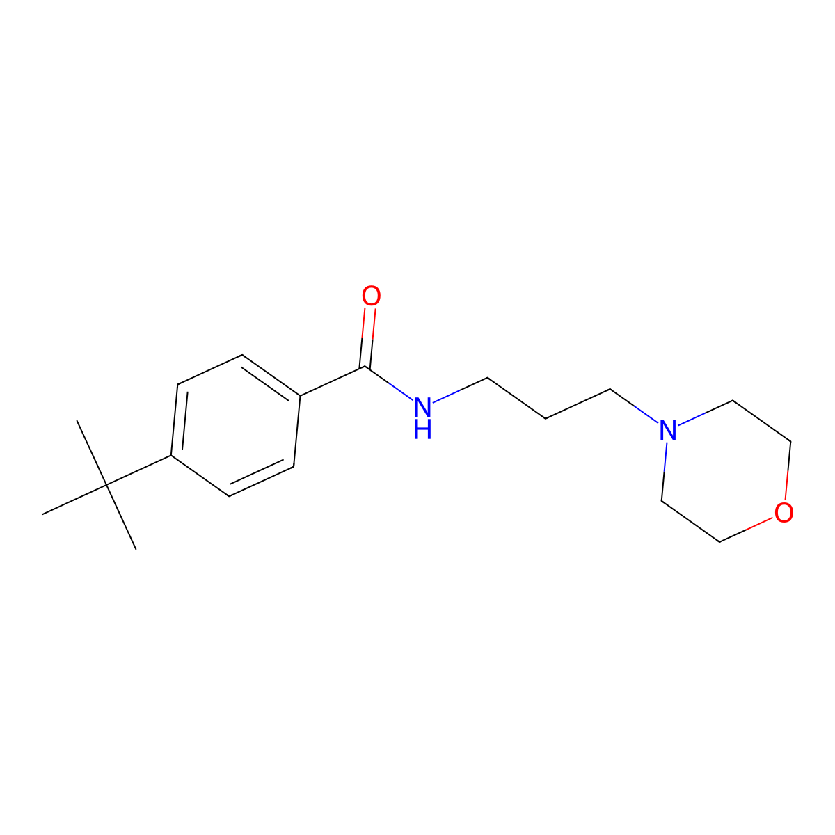 N-(3-Morpholin-4-ylpropyl)-4-tert-butyl-benzamide molecular structure, CAS 6320-77-0