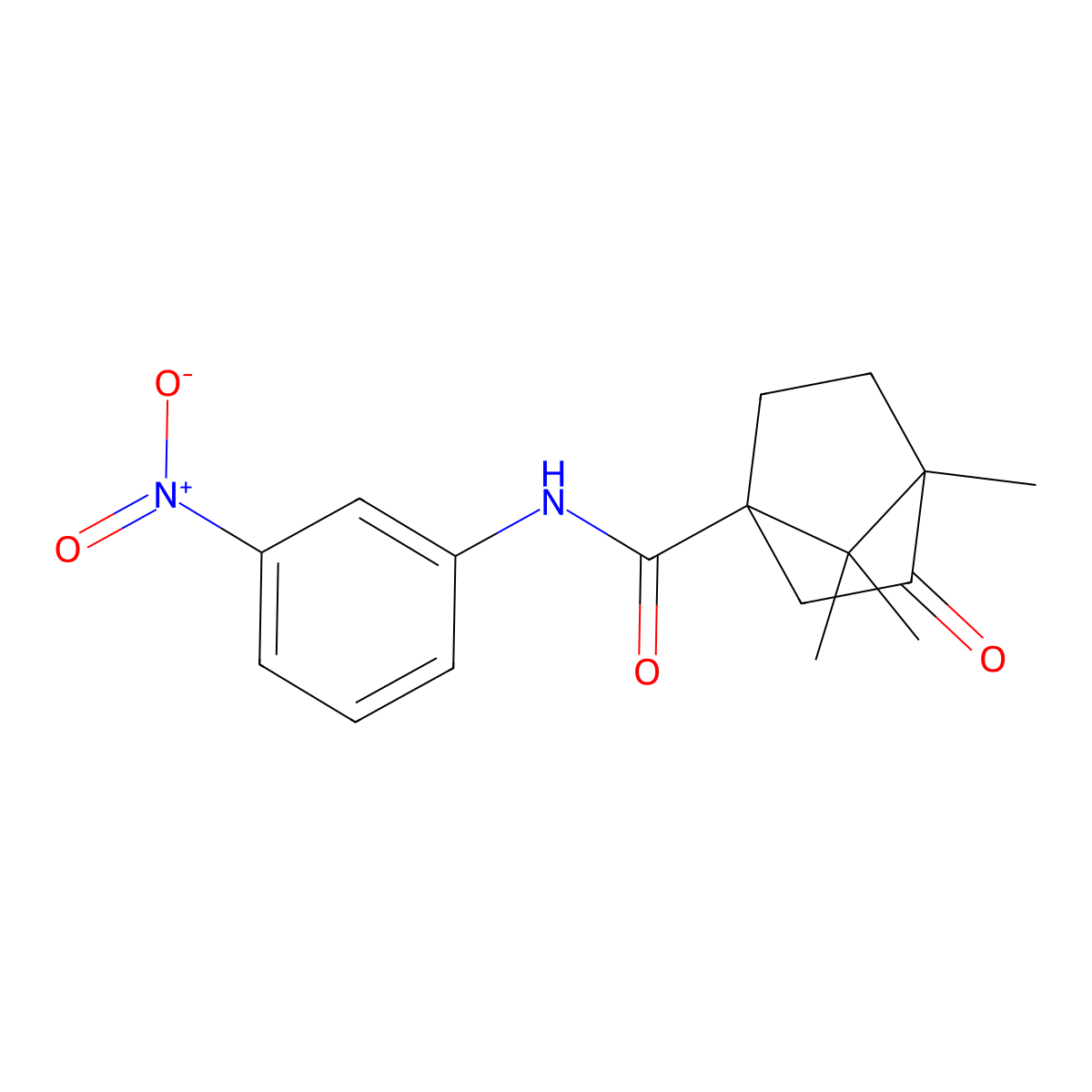 1,7,7-trimethyl-N-(3-nitrophenyl)-2-oxobicyclo[2.2.1]heptane-4-carboxamide molecular structure, CAS 637755-18-1