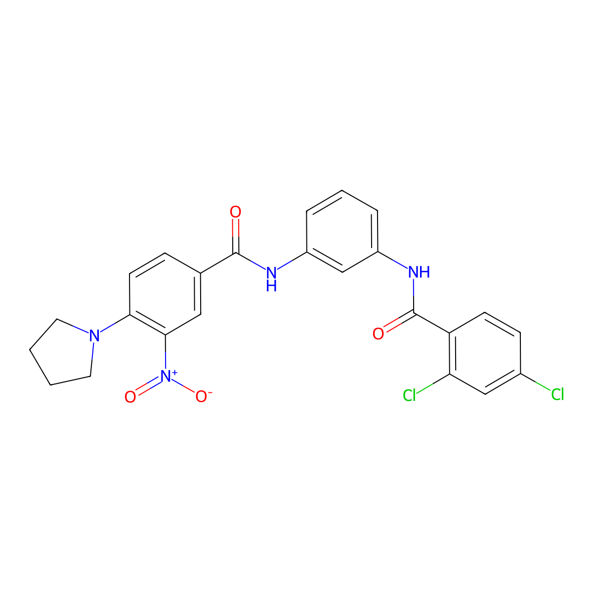 N-[3-[(2,4-dichlorobenzoyl)amino]phenyl]-3-nitro-4-pyrrolidin-1-ylbenzamide molecular structure, CAS 638146-08-4
