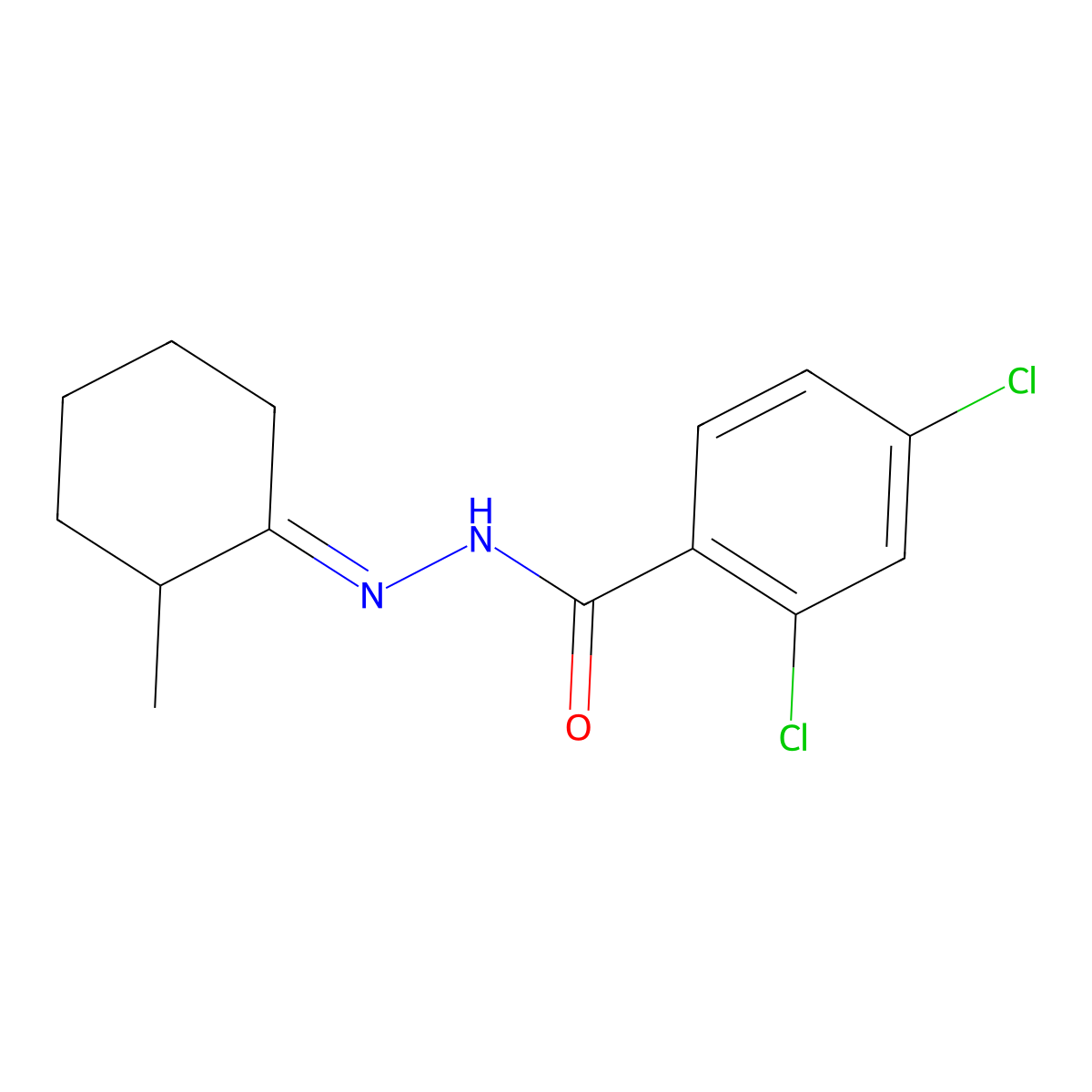2,4-dichloro-N-[(2-methylcyclohexylidene)amino]benzamide molecular structure, CAS 6394-33-8