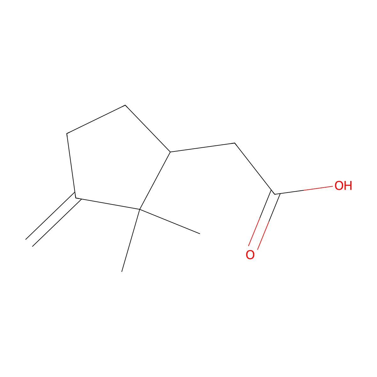 2-(2,2-Dimethyl-3-methylidenecyclopentyl)acetic acid molecular structure, CAS 640-62-0