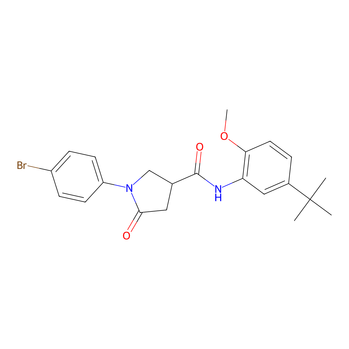 1-(4-bromophenyl)-N-(5-tert-butyl-2-methoxyphenyl)-5-oxopyrrolidine-3-carboxamide molecular structure, CAS 641594-66-3