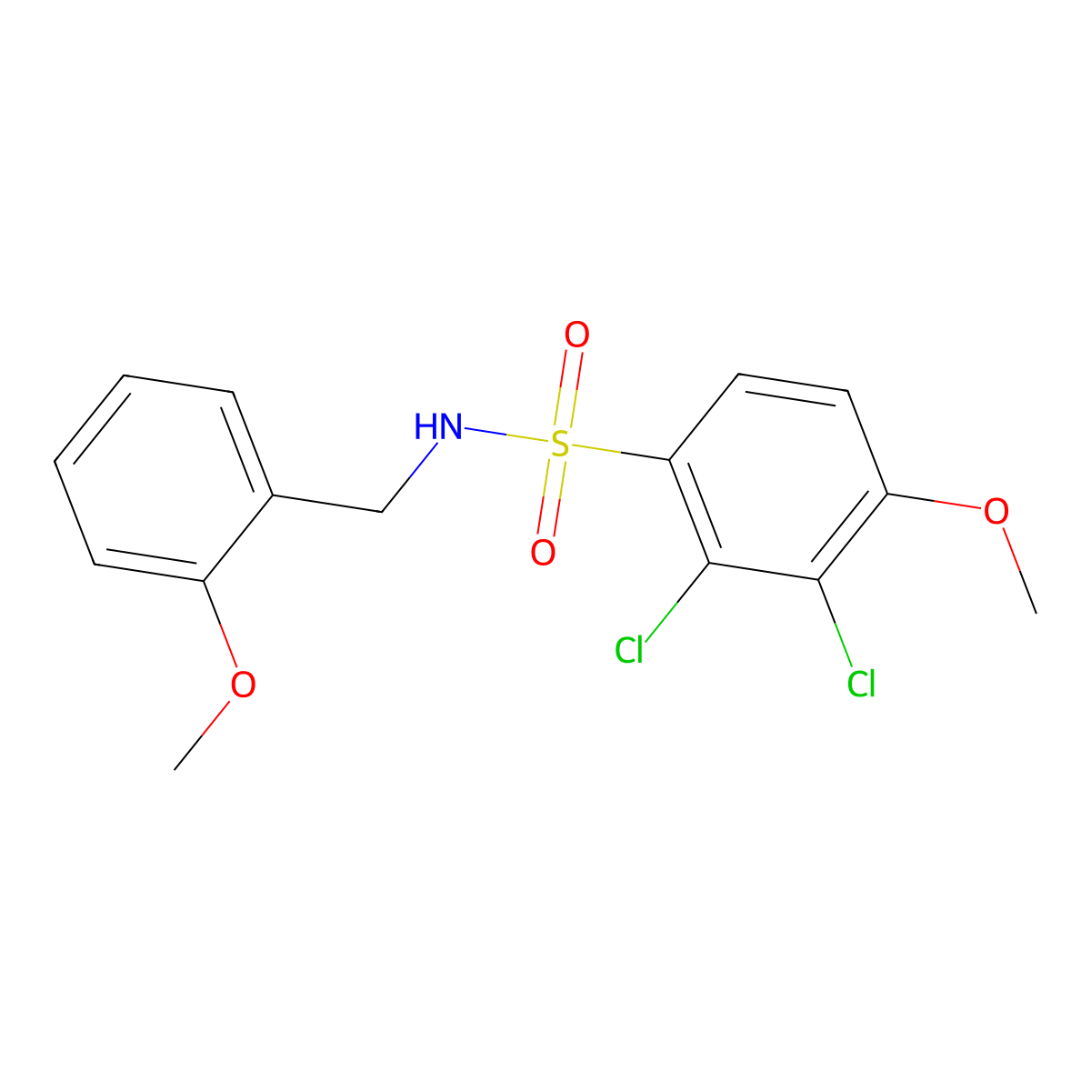 2,3-dichloro-4-methoxy-N-(2-methoxybenzyl)benzenesulfonamide molecular structure, CAS 641602-78-0