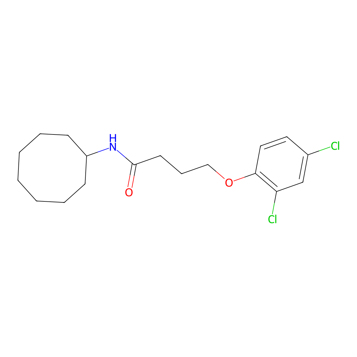 N-cyclooctyl-4-(2,4-dichlorophenoxy)butanamide molecular structure, CAS 6429-07-8