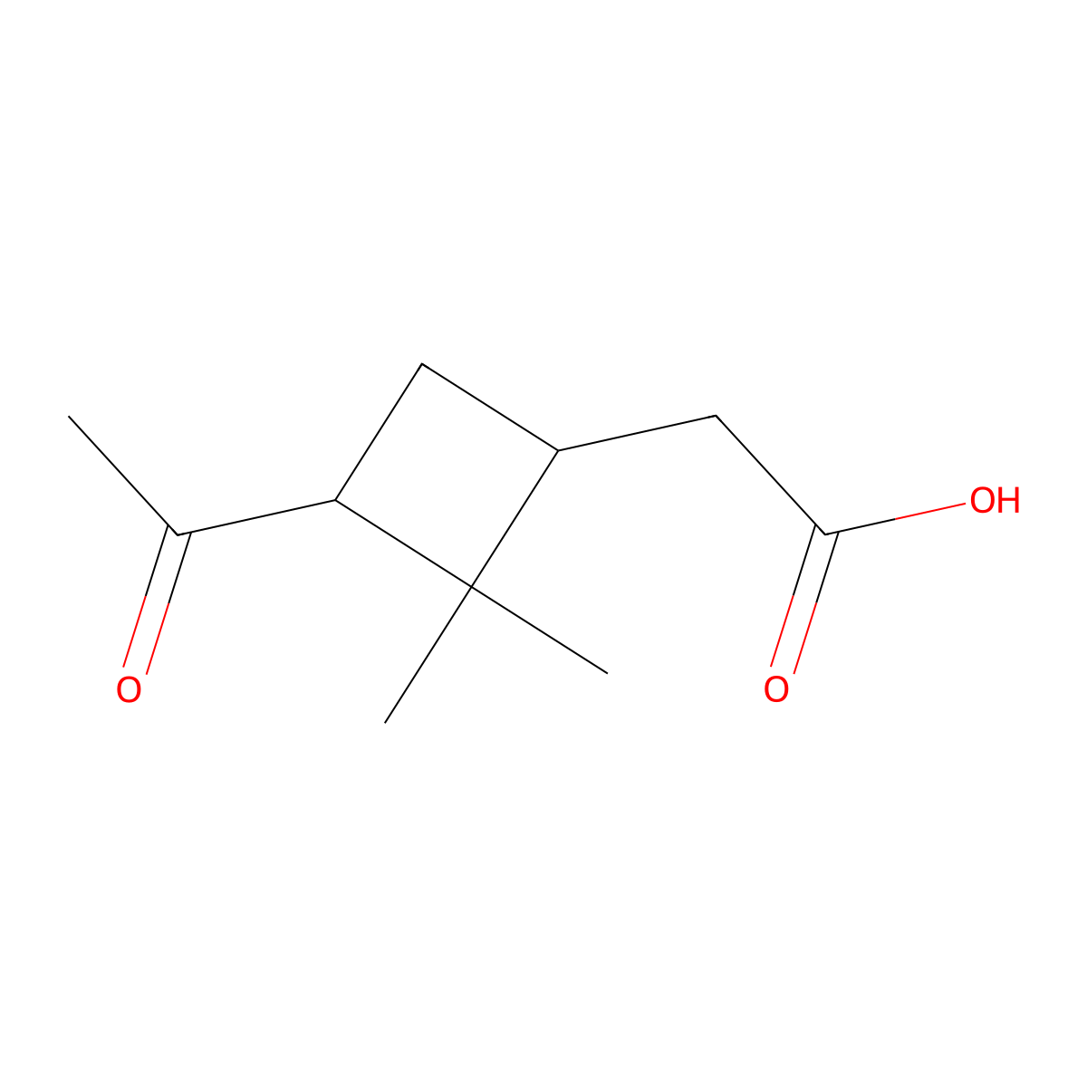 cis-Pinonic acid molecular structure, CAS 64396-97-0