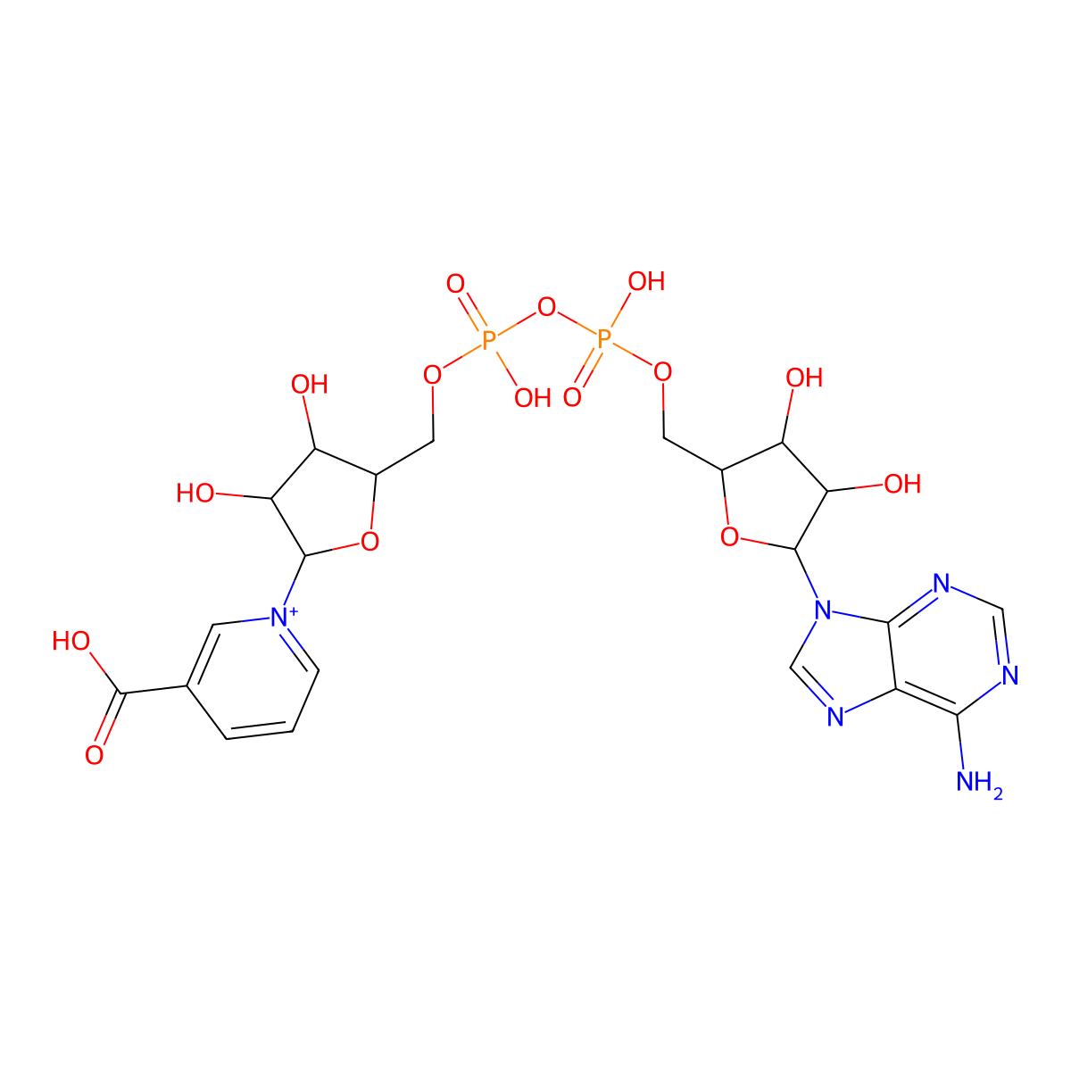 Nicotinic acid adenine dinucleotide molecular structure, CAS 6450-77-7