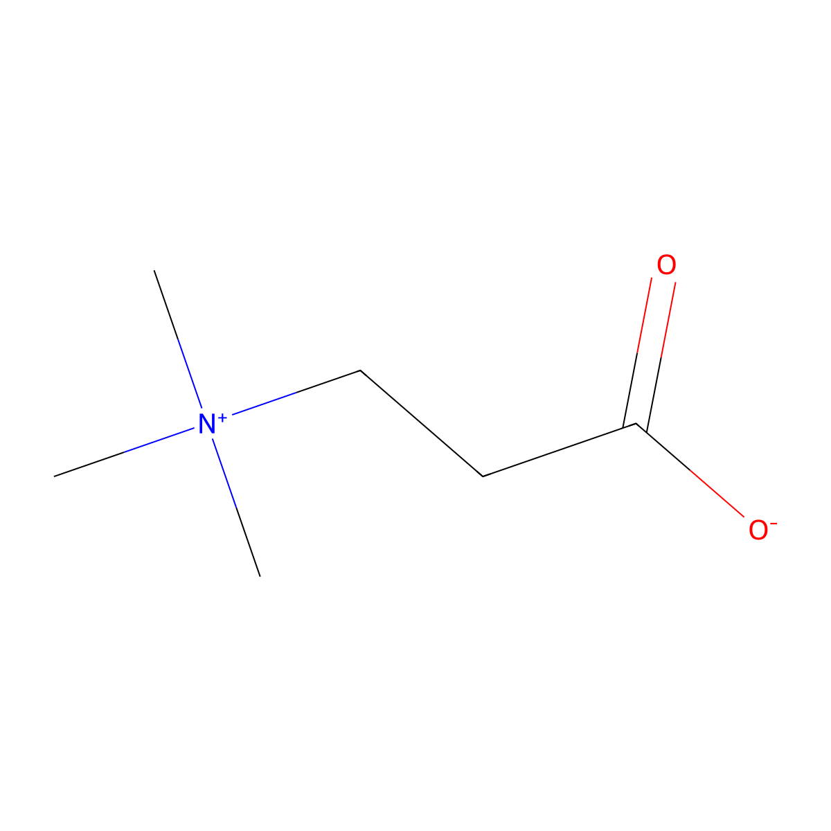 beta-Alanine betaine molecular structure, CAS 6458-06-6