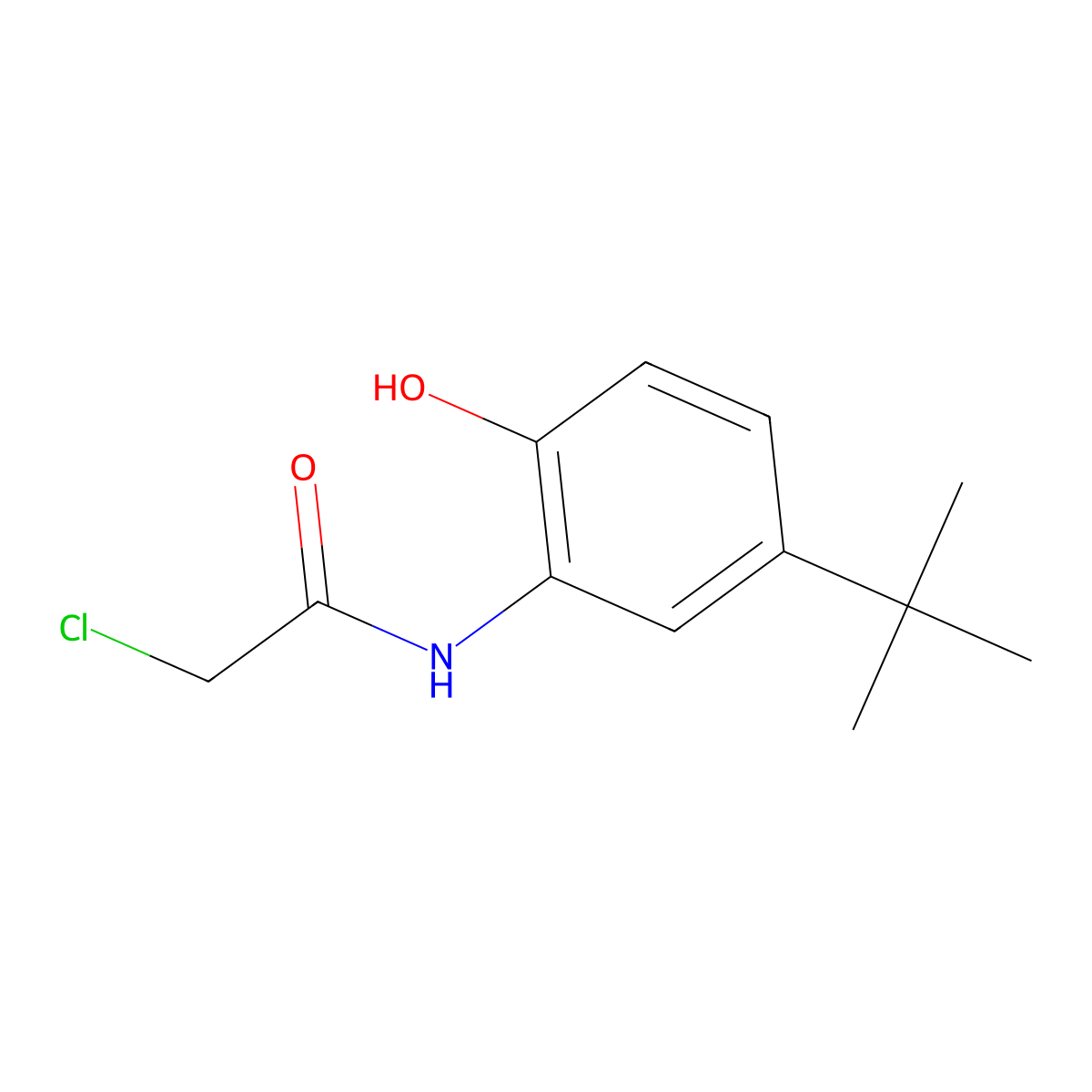 N-(5-tert-butyl-2-hydroxyphenyl)-2-chloroacetamide molecular structure, CAS 6529-93-7