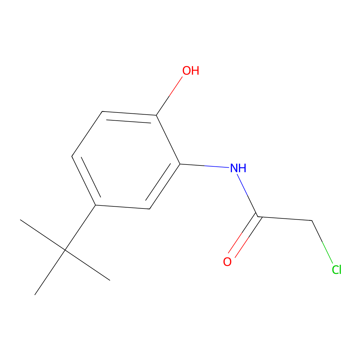N-(5-tert-butyl-2-hydroxyphenyl)-2-chloroacetamide molecular structure, CAS 6529-93-7