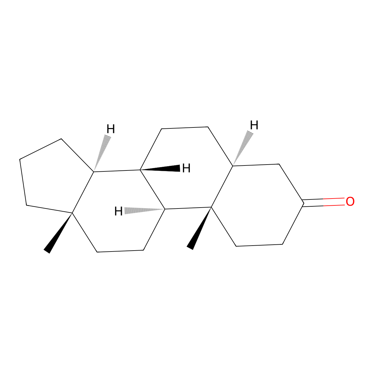 Androstan-3-one molecular structure, CAS 65635-48-5