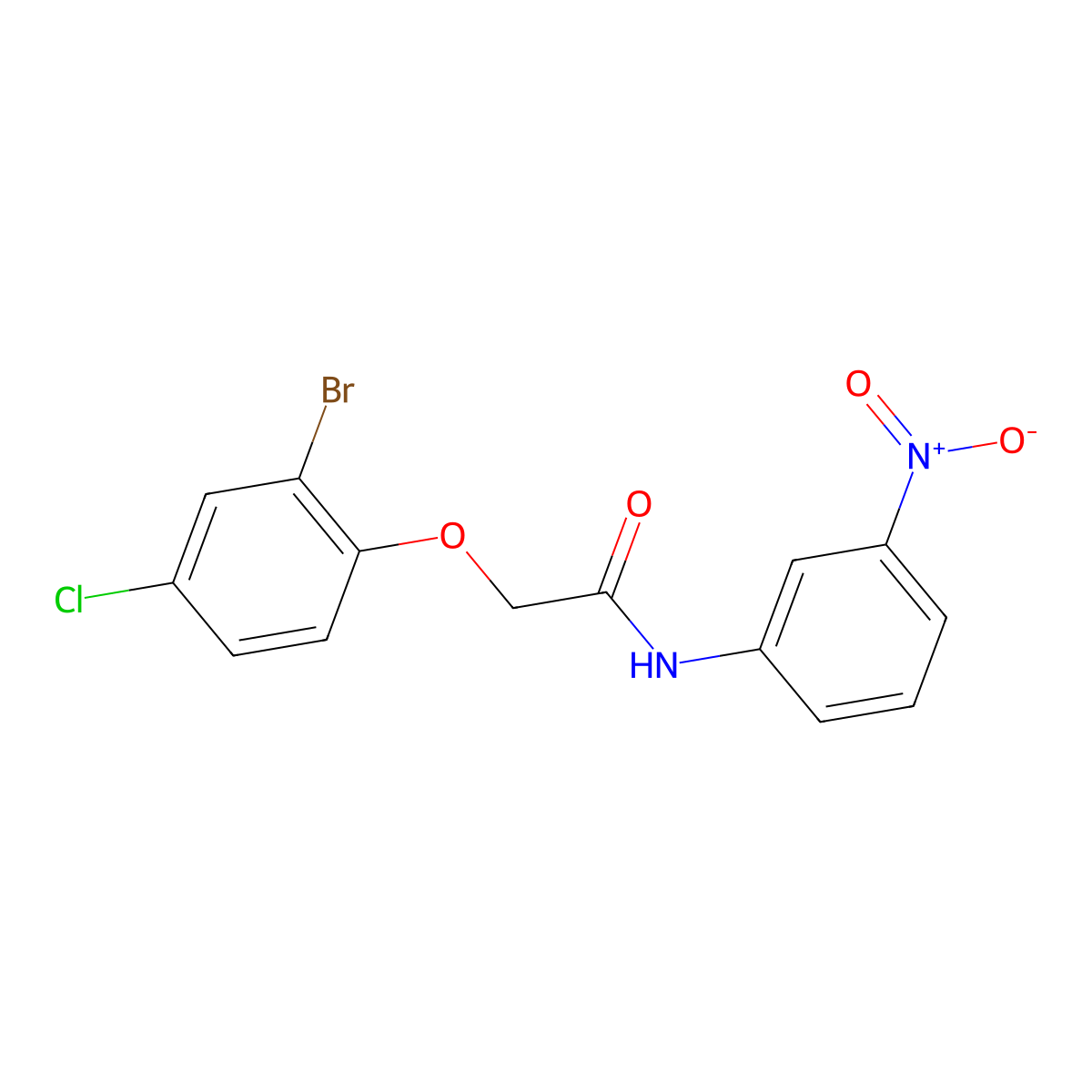 2-(2-bromo-4-chlorophenoxy)-N-(3-nitrophenyl)acetamide molecular structure, CAS 658045-80-8
