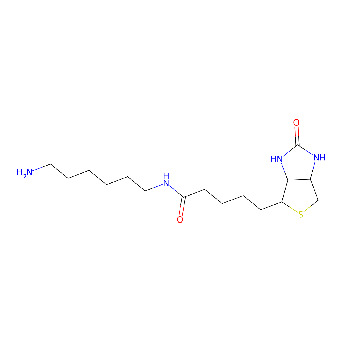 N-Biotinyl-1,6-hexanediamine molecular structure, CAS 65953-56-2