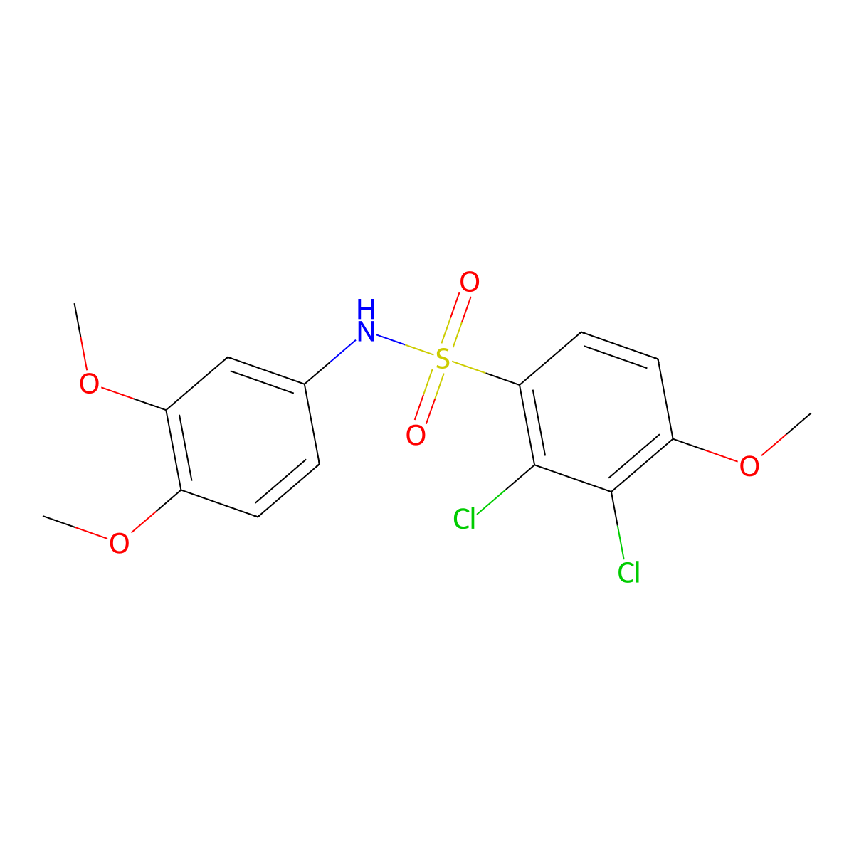 2,3-dichloro-N-(3,4-dimethoxyphenyl)-4-methoxybenzenesulfonamide molecular structure, CAS 663164-67-8