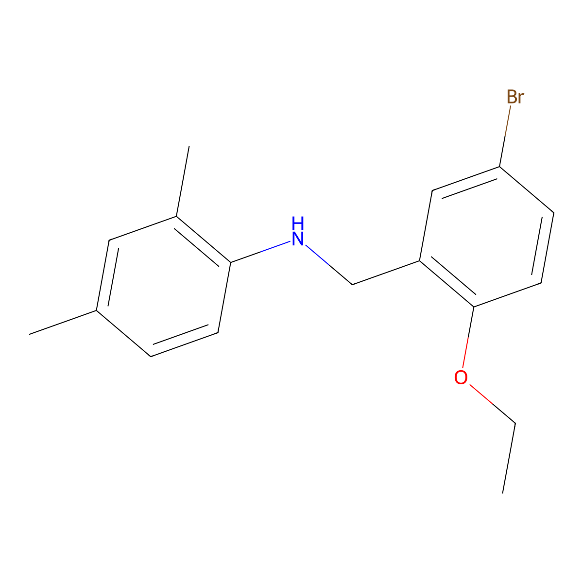 N-[(5-bromo-2-ethoxyphenyl)methyl]-2,4-dimethylaniline molecular structure, CAS 664313-75-1