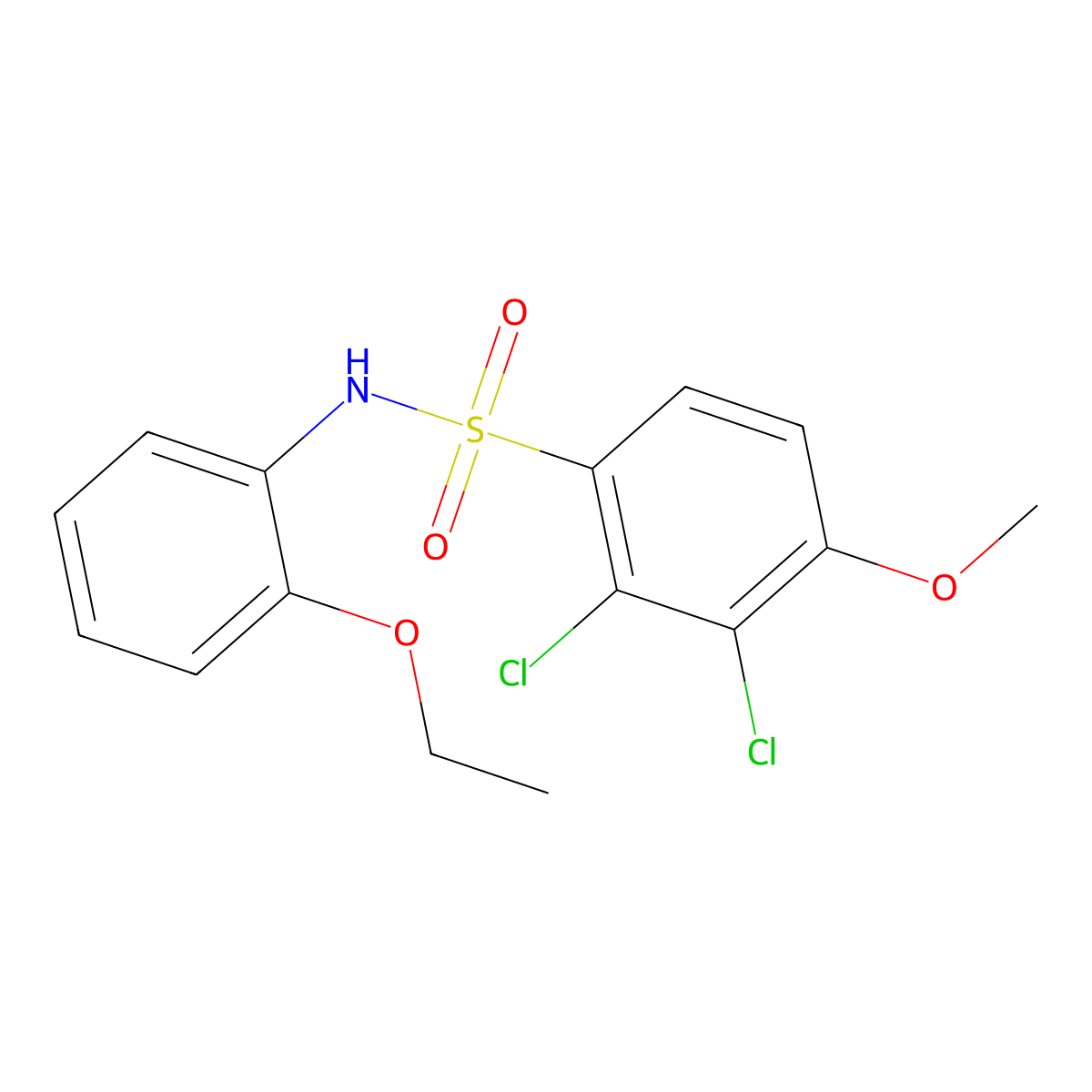 2,3-dichloro-N-(2-ethoxyphenyl)-4-methoxybenzenesulfonamide molecular structure, CAS 664315-20-2