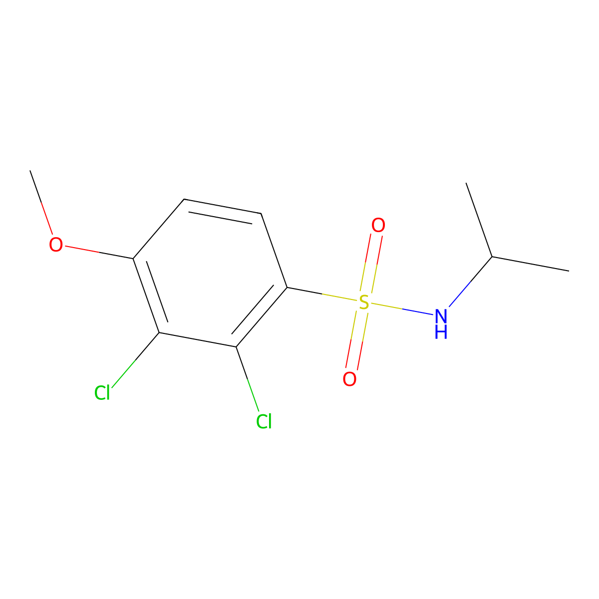 2,3-dichloro-N-isopropyl-4-methoxybenzenesulfonamide molecular structure, CAS 664315-51-9