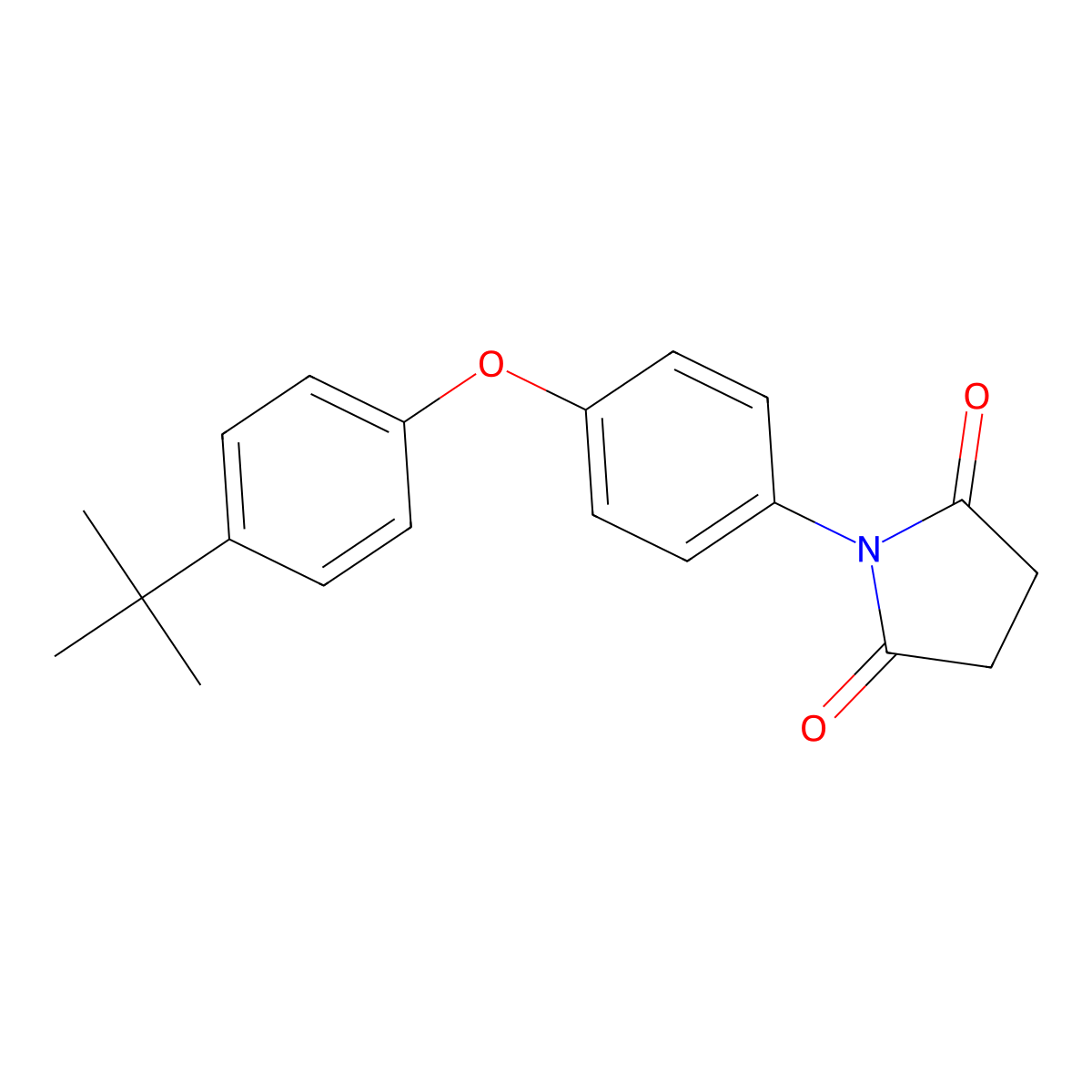 1-[4-(4-Tert-butylphenoxy)phenyl]pyrrolidine-2,5-dione molecular structure, CAS 667407-64-9