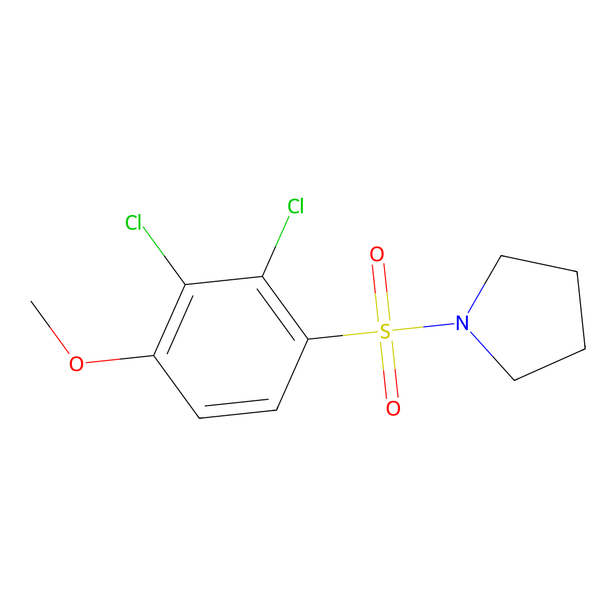 1-(2,3-Dichloro-4-methoxyphenyl)sulfonylpyrrolidine molecular structure, CAS 667877-91-0