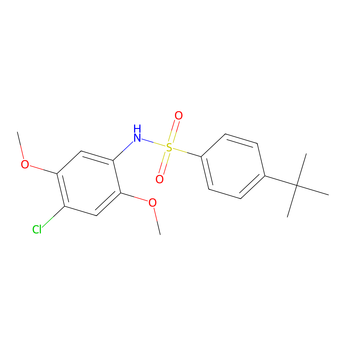 4-tert-butyl-N-(4-chloro-2,5-dimethoxyphenyl)benzenesulfonamide molecular structure, CAS 667891-97-6