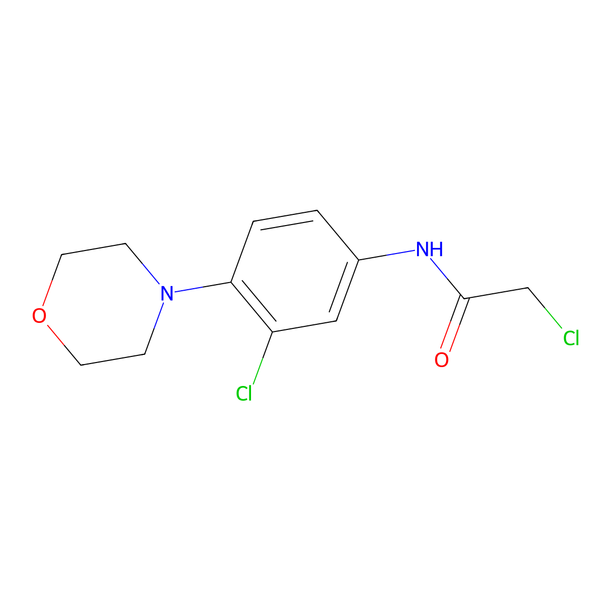 2-Chloro-N-(3-chloro-4-morpholin-4-yl-phenyl)-acetamide molecular structure, CAS 669703-49-5
