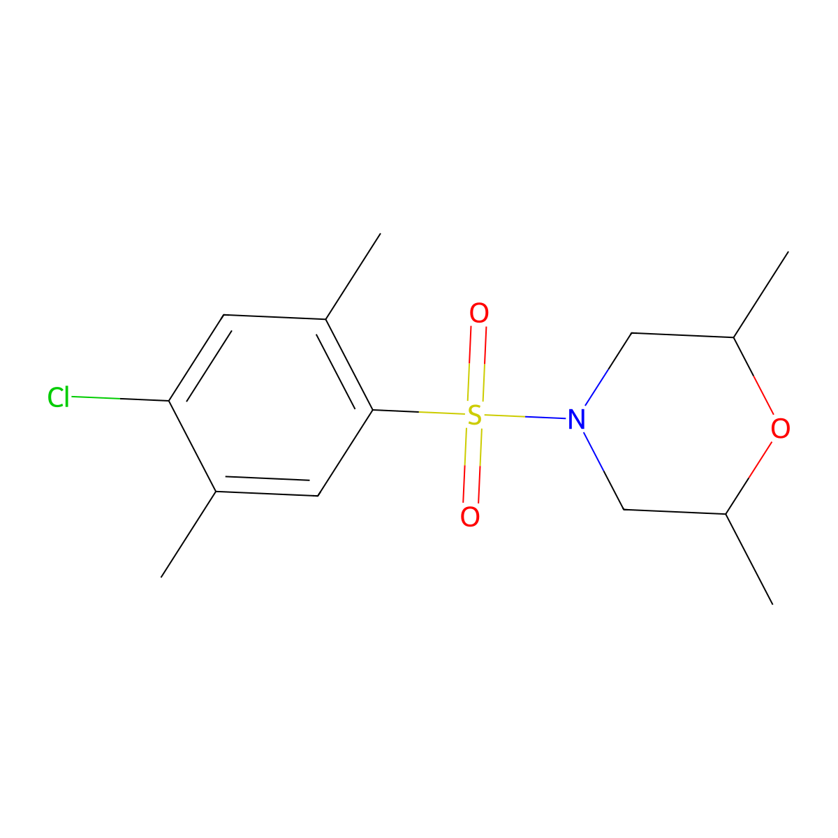 4-(4-Chloro-2,5-dimethylbenzenesulfonyl)-2,6-dimethylmorpholine molecular structure, CAS 669708-02-5