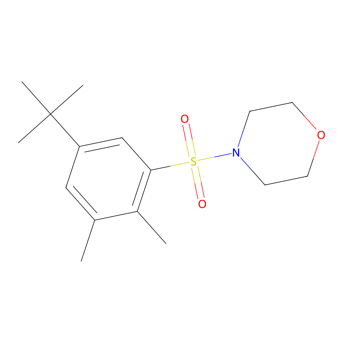 4-(5-Tert-butyl-2,3-dimethylphenyl)sulfonylmorpholine molecular structure, CAS 670255-85-3