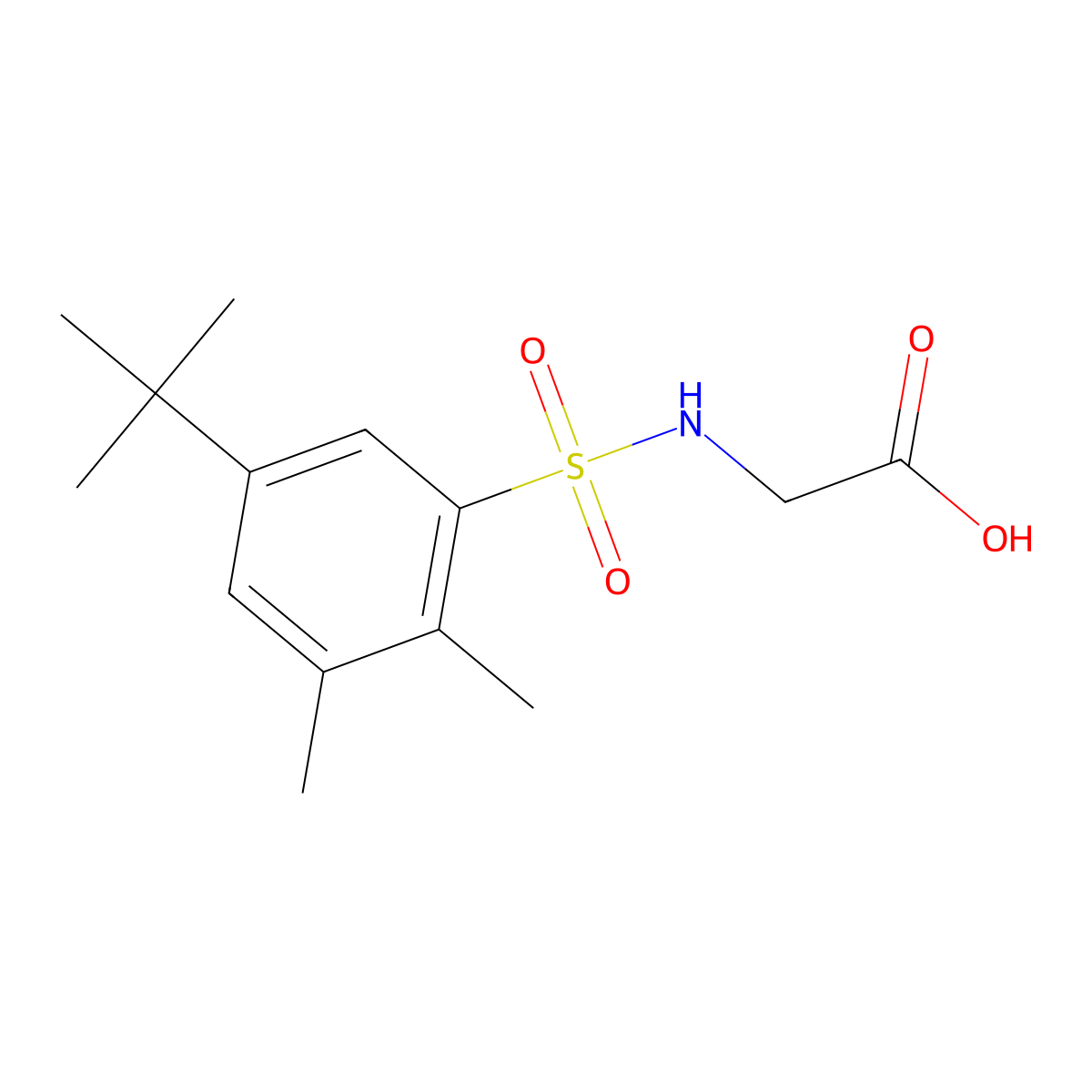 N-[(5-tert-butyl-2,3-dimethylphenyl)sulfonyl]glycine molecular structure, CAS 670255-91-1