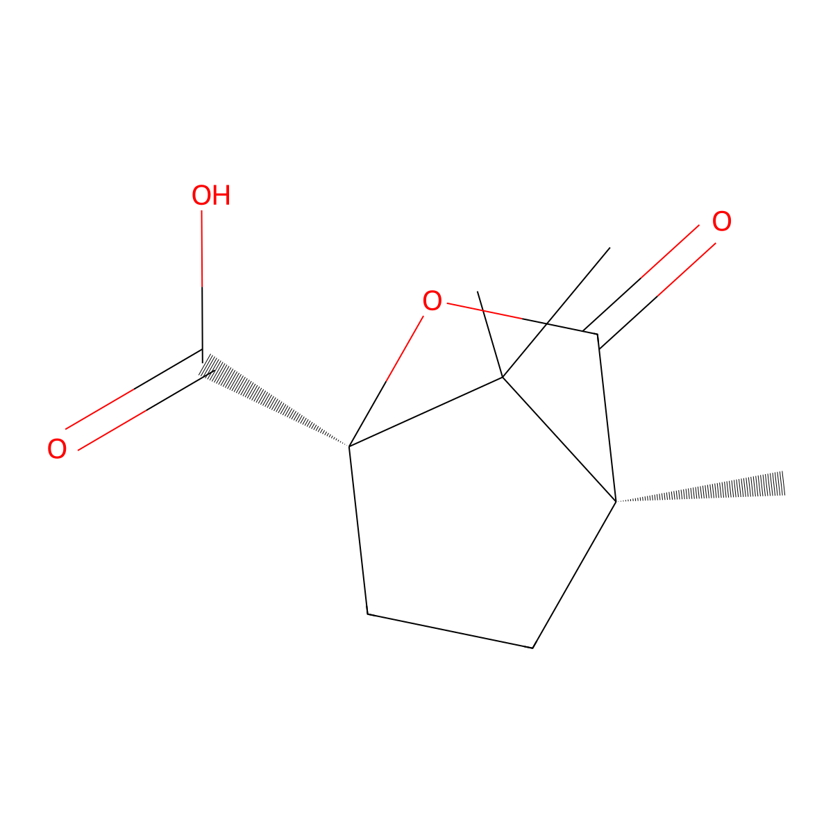 (+)-Camphanic acid molecular structure, CAS 67111-66-4