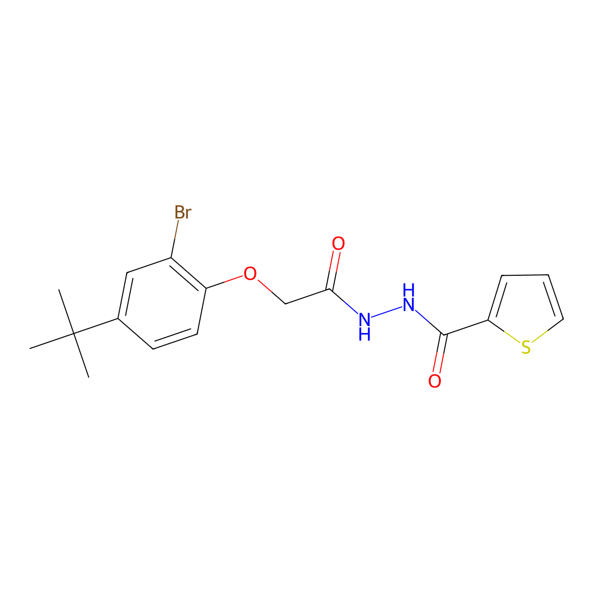 N'-[2-(2-bromo-4-tert-butylphenoxy)acetyl]thiophene-2-carbohydrazide molecular structure, CAS 671794-60-8