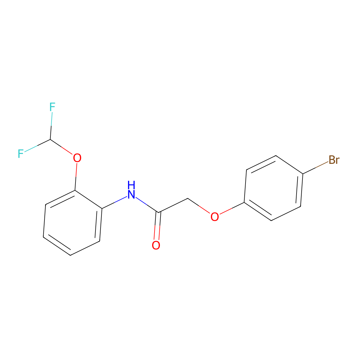 2-(4-bromophenoxy)-N-[2-(difluoromethoxy)phenyl]acetamide molecular structure, CAS 672317-09-8