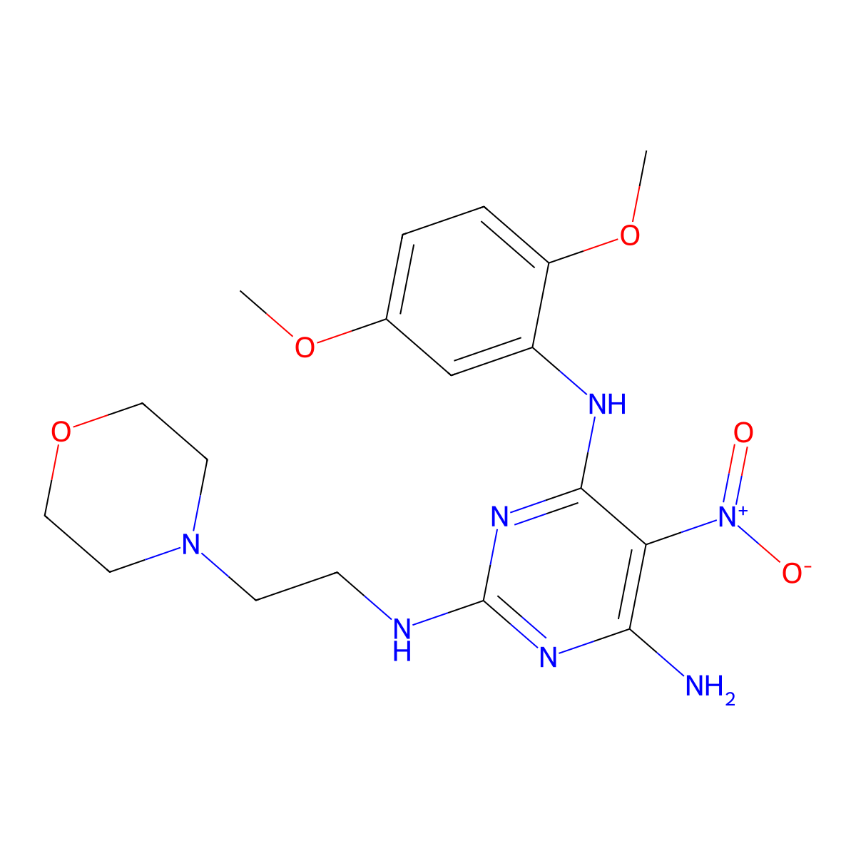 N4-(2,5-dimethoxyphenyl)-N2-(2-morpholinoethyl)-5-nitropyrimidine-2,4,6-triamine molecular structure, CAS 673445-84-6