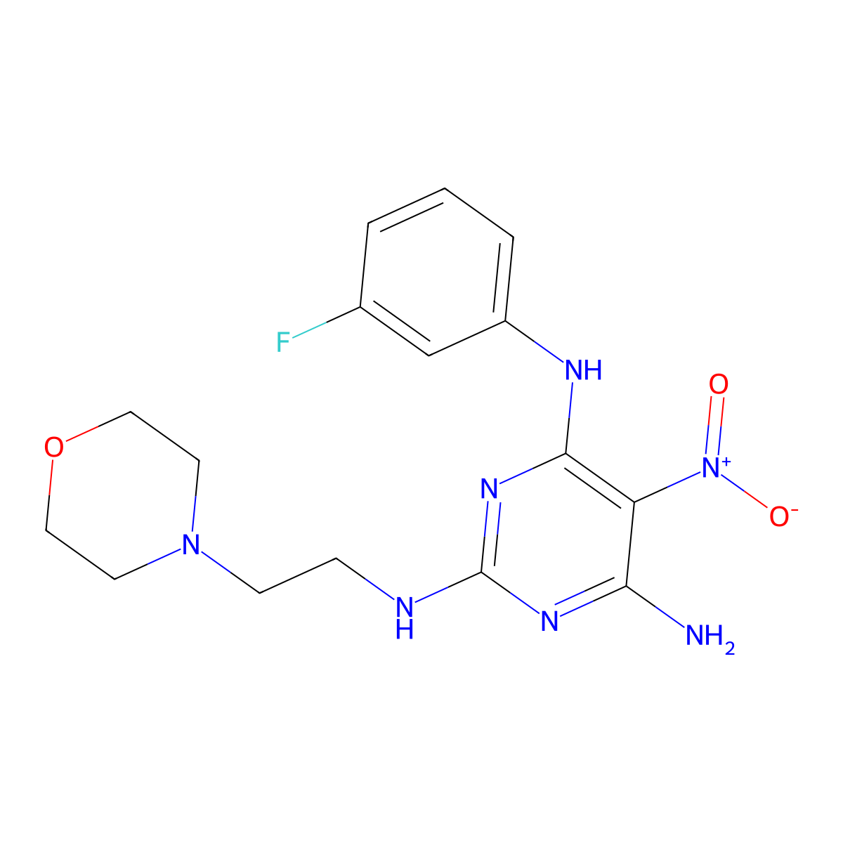 N4-(3-fluorophenyl)-N2-(2-morpholinoethyl)-5-nitropyrimidine-2,4,6-triamine molecular structure, CAS 673498-73-2