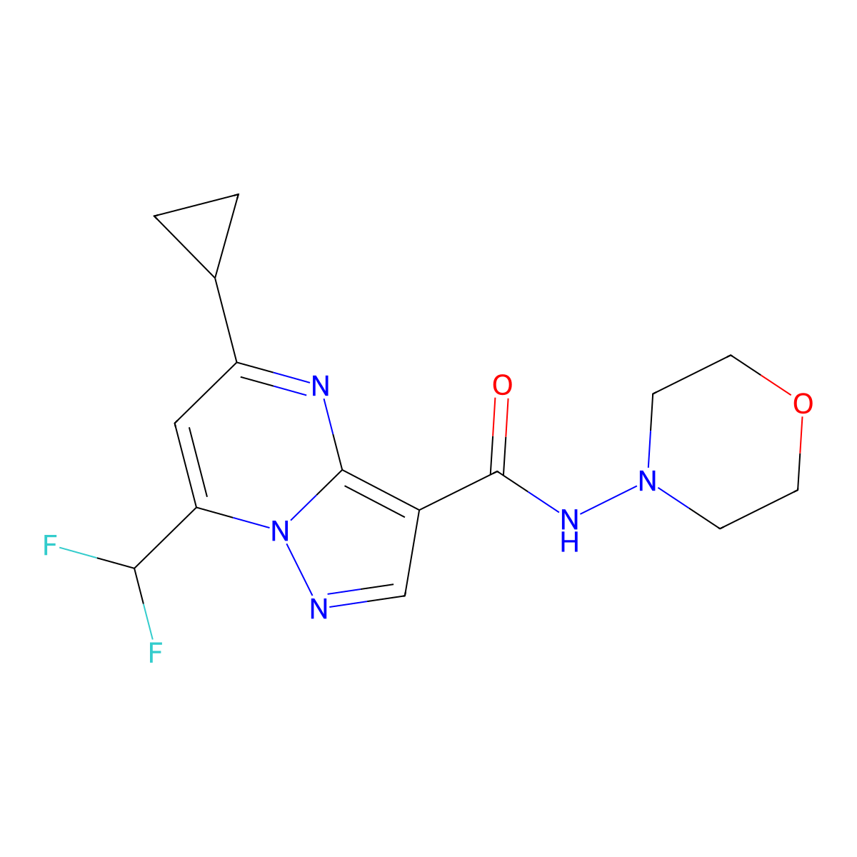 5-cyclopropyl-7-(difluoromethyl)-N-morpholin-4-ylpyrazolo[1,5-a]pyrimidine-3-carboxamide molecular structure, CAS 674811-46-2
