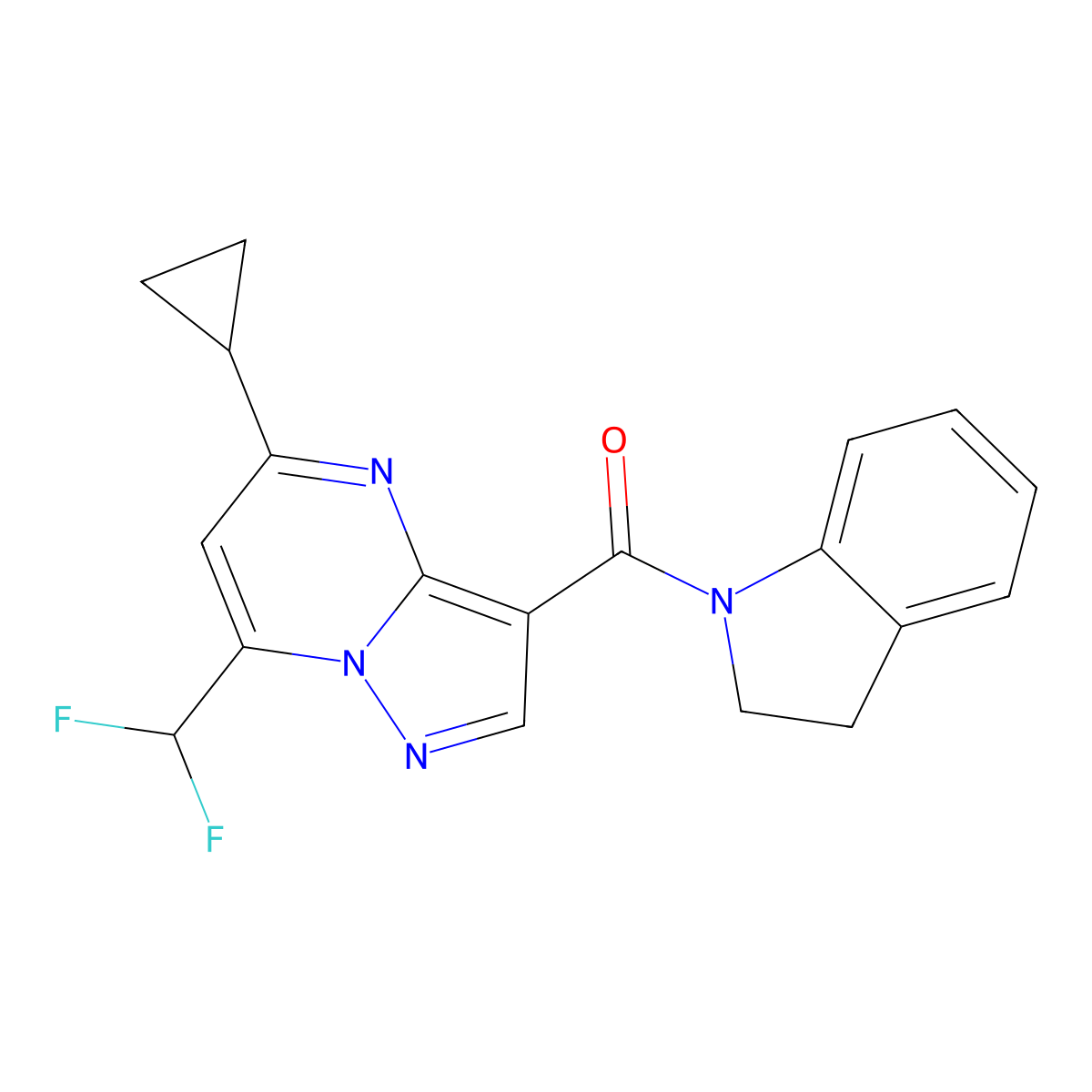 [5-Cyclopropyl-7-(difluoromethyl)pyrazolo[1,5-a]pyrimidin-3-yl]-(2,3-dihydroindol-1-yl)methanone molecular structure, CAS 675130-70-8