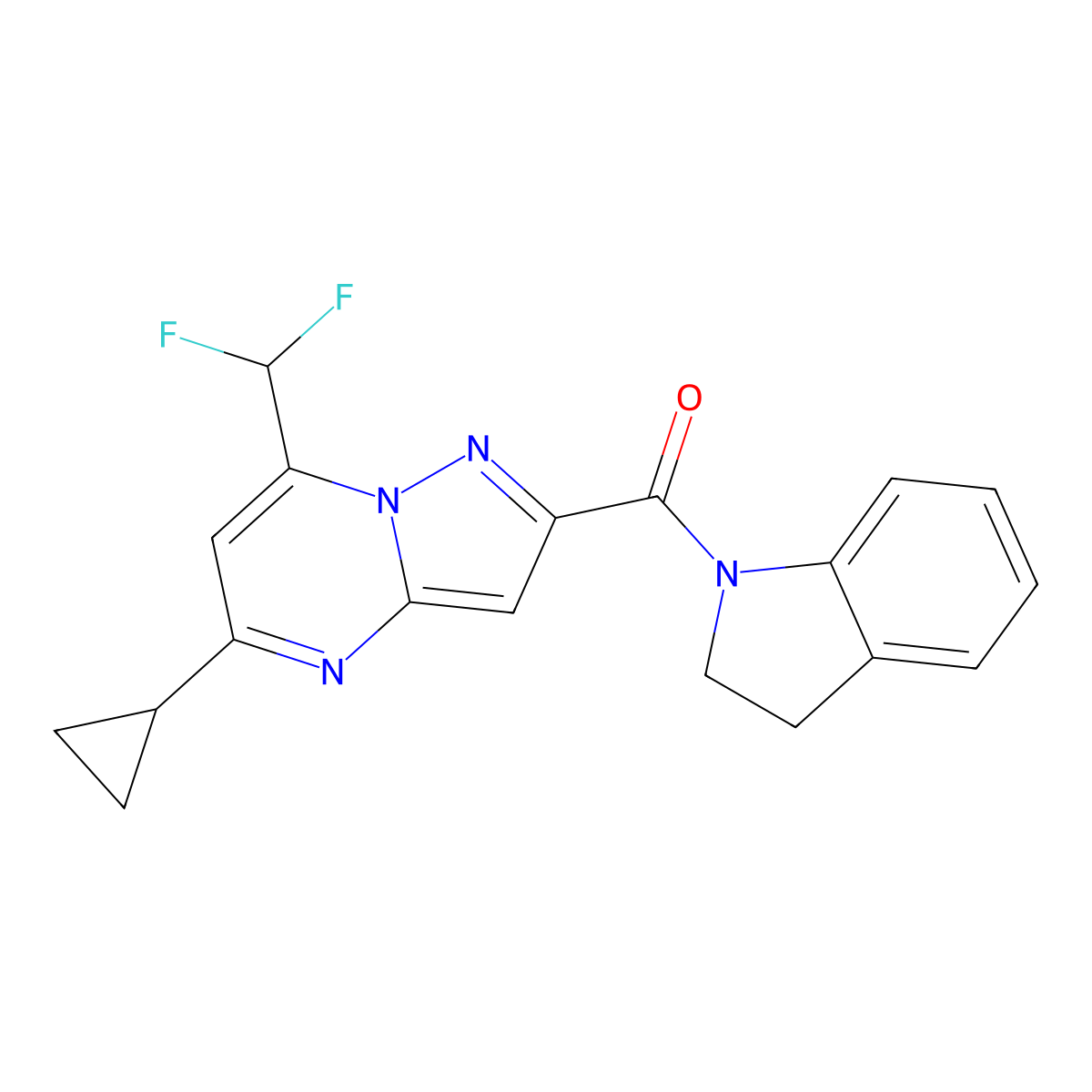 [5-Cyclopropyl-7-(difluoromethyl)pyrazolo[1,5-a]pyrimidin-2-yl]-(2,3-dihydroindol-1-yl)methanone molecular structure, CAS 676240-02-1