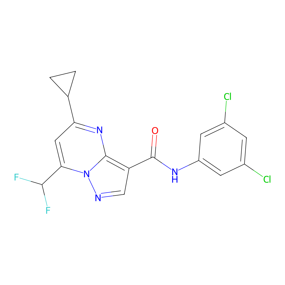 5-cyclopropyl-N-(3,5-dichlorophenyl)-7-(difluoromethyl)pyrazolo[1,5-a]pyrimidine-3-carboxamide molecular structure, CAS 676469-23-1