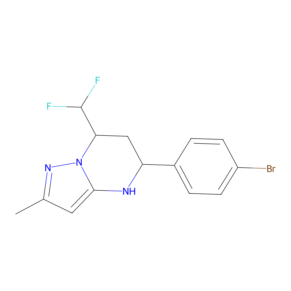 5-(4-Bromophenyl)-7-(difluoromethyl)-2-methyl-4,5,6,7-tetrahydropyrazolo[1,5-a]pyrimidine molecular structure, CAS 676474-56-9