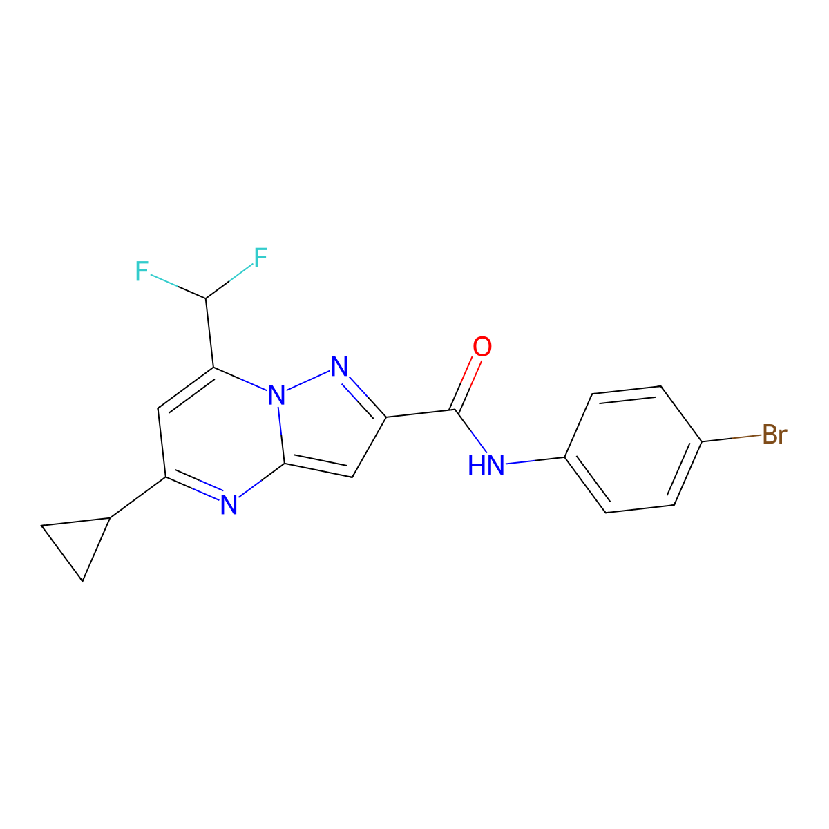 N-(4-bromophenyl)-5-cyclopropyl-7-(difluoromethyl)pyrazolo[1,5-a]pyrimidine-2-carboxamide molecular structure, CAS 676640-95-2