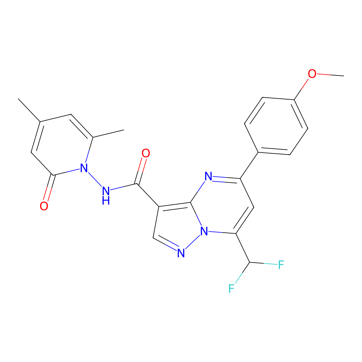 7-(difluoromethyl)-N-(4,6-dimethyl-2-oxopyridin-1(2H)-yl)-5-(4-methoxyphenyl)pyrazolo[1,5-a]pyrimidine-3-carboxamide molecular structure, CAS 679810-81-2